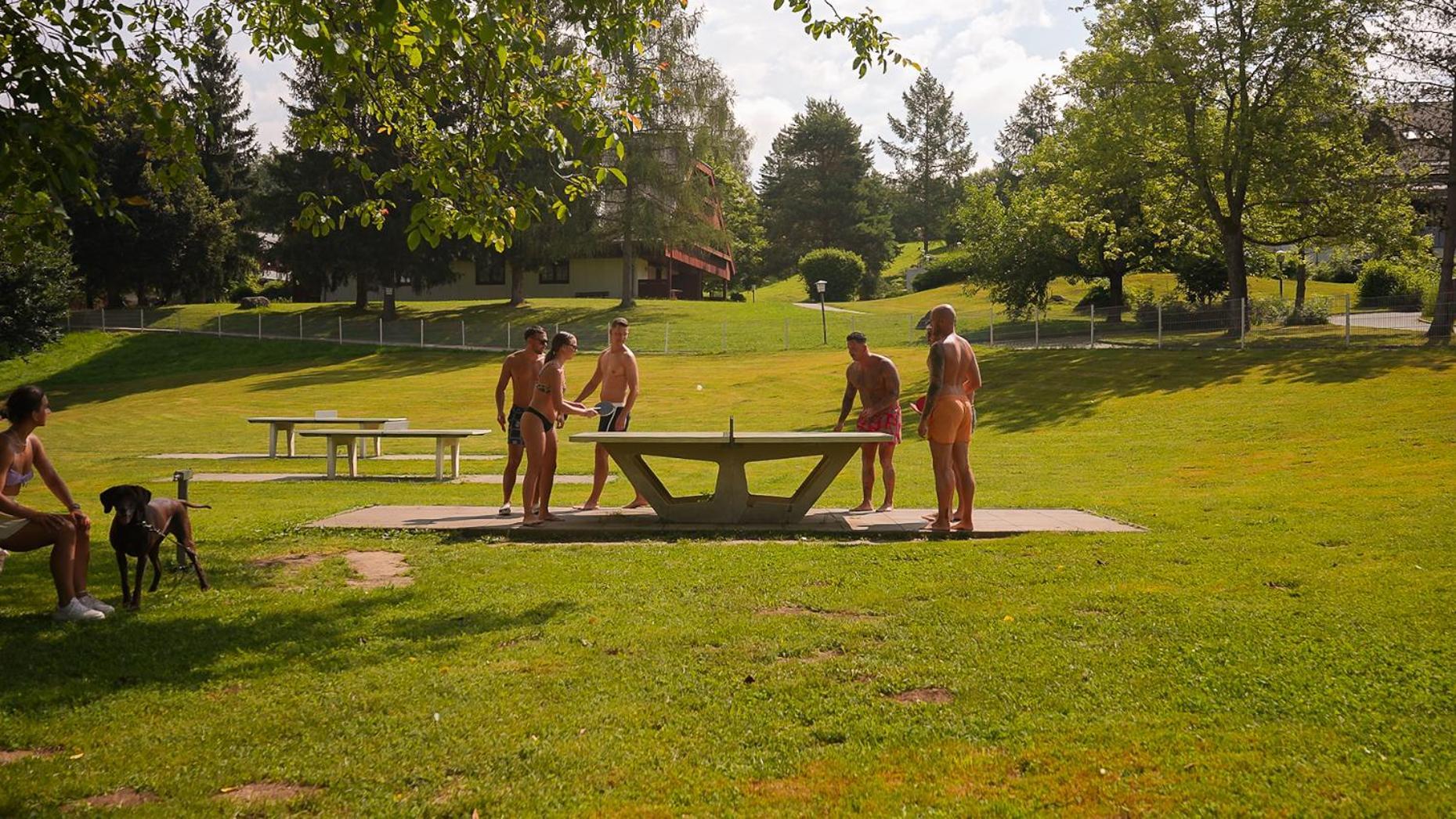 פלדקירשן אין קרנטן Feriendorf Am Maltschacher See מראה חיצוני תמונה